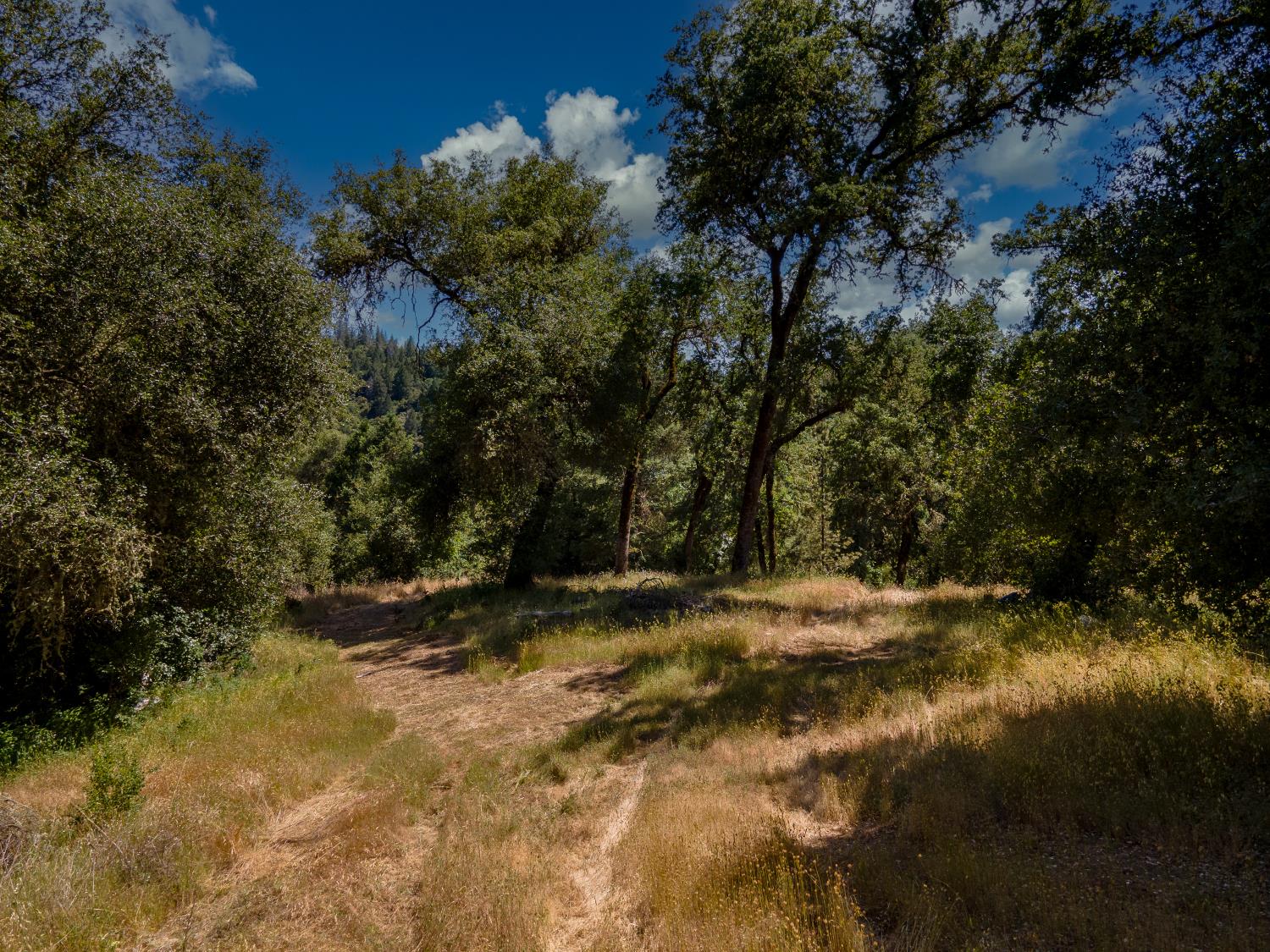 5000 Riverfront Trail