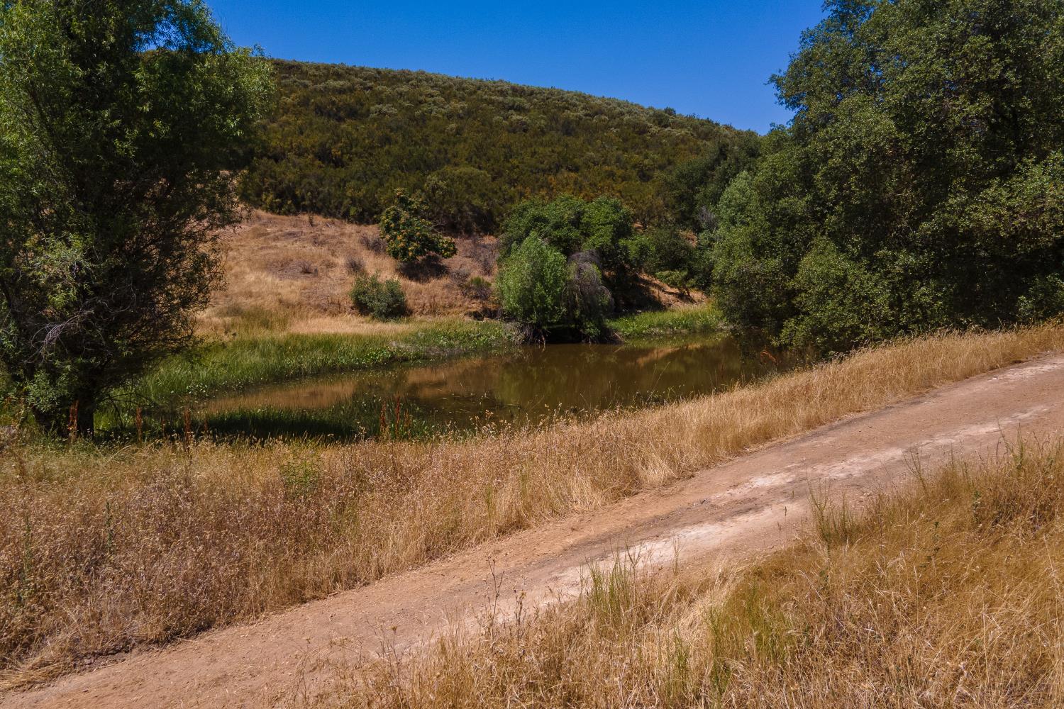 0 Stony Creek