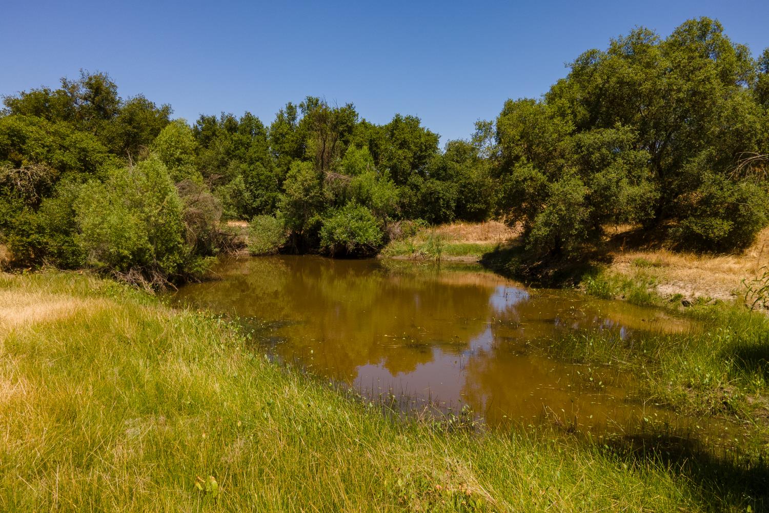 0 Stony Creek