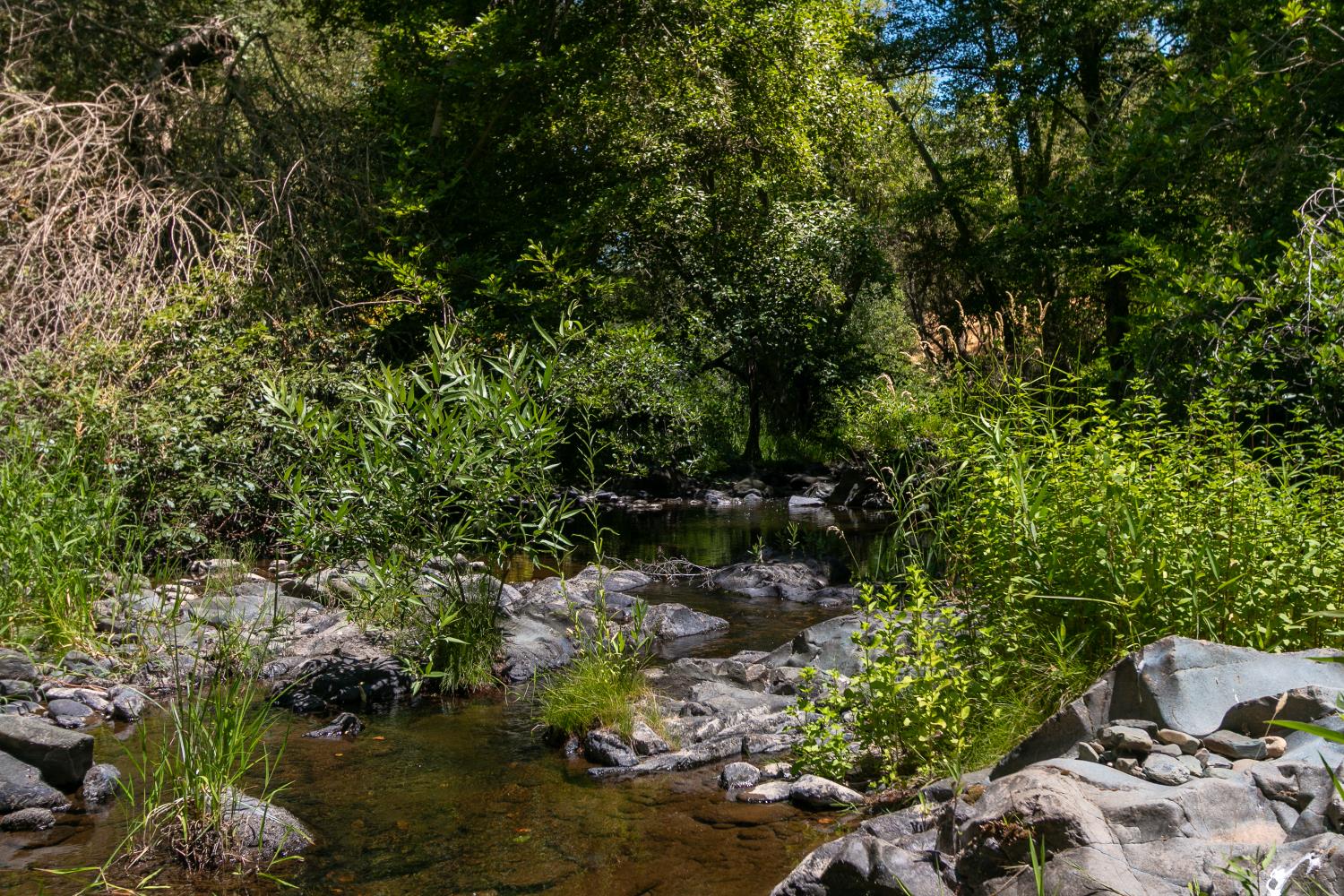 0 Stony Creek