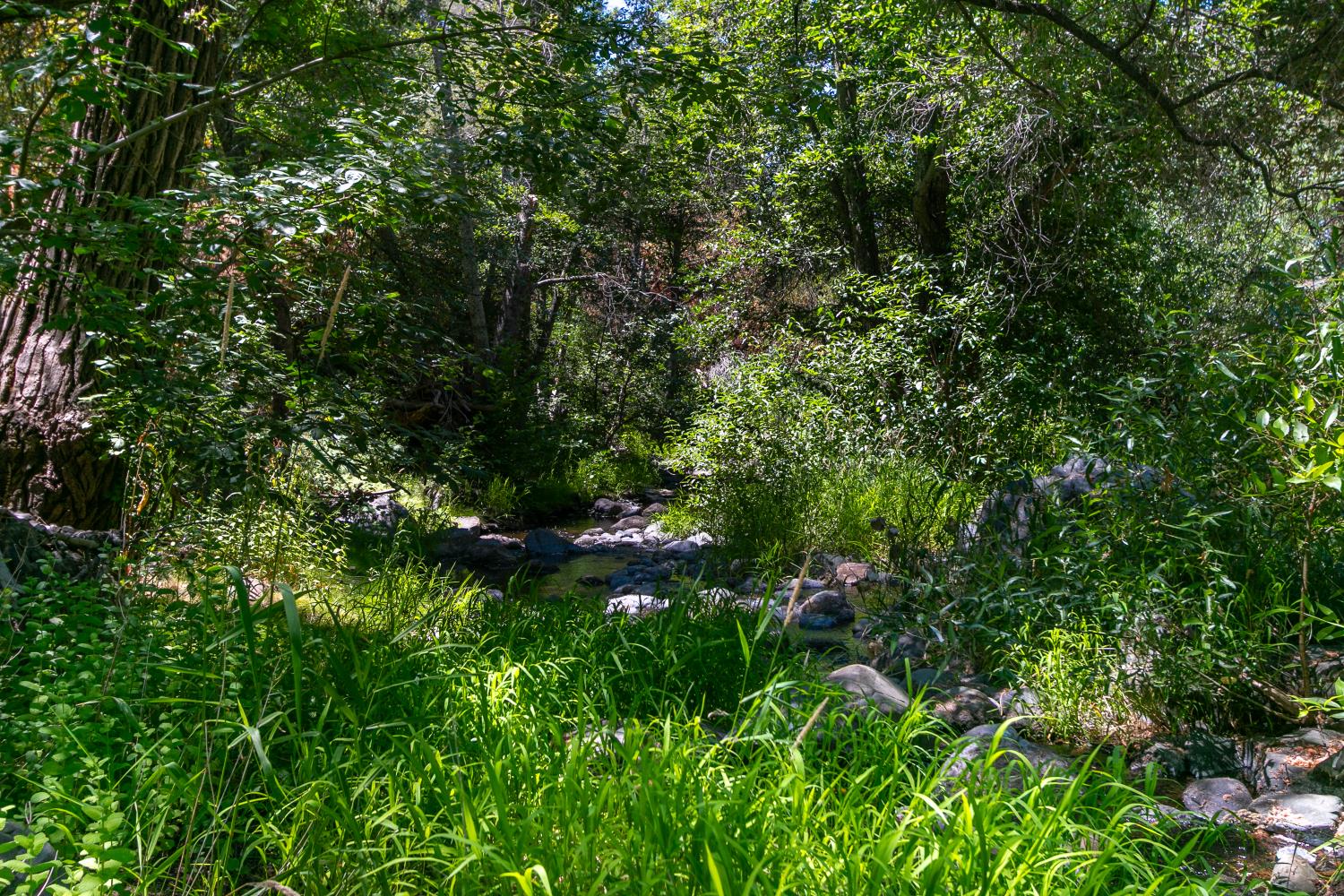 0 Stony Creek