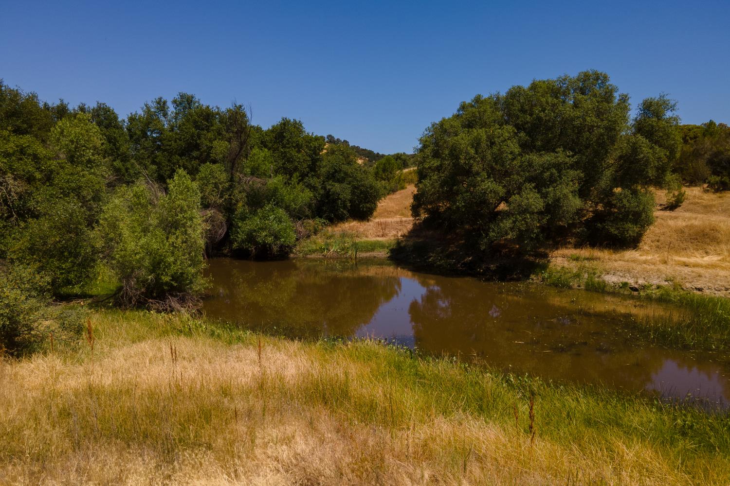 0 Stony Creek