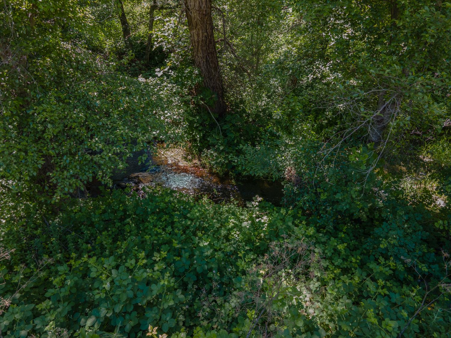 0 Stony Creek