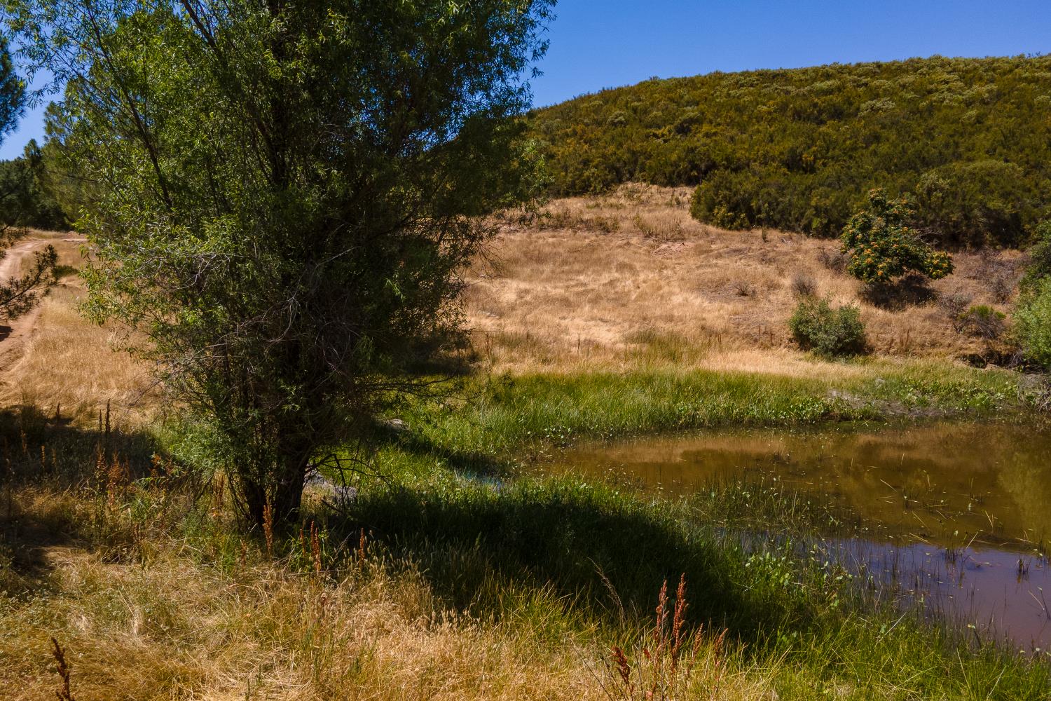 0 Stony Creek