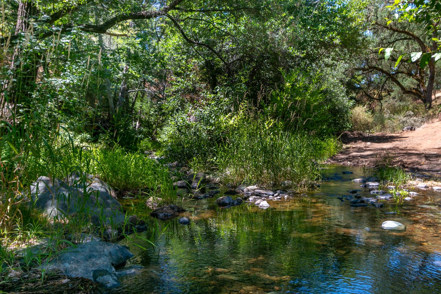 0 Stony Creek