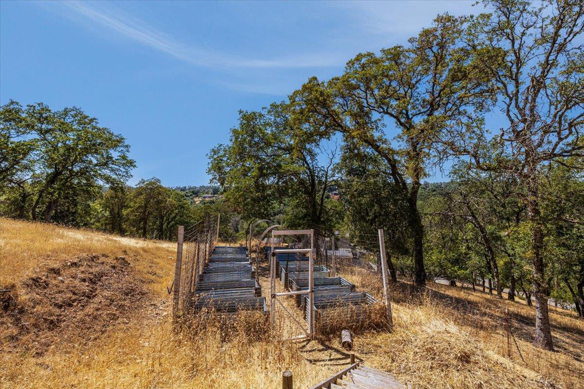 4285 Clare Drive