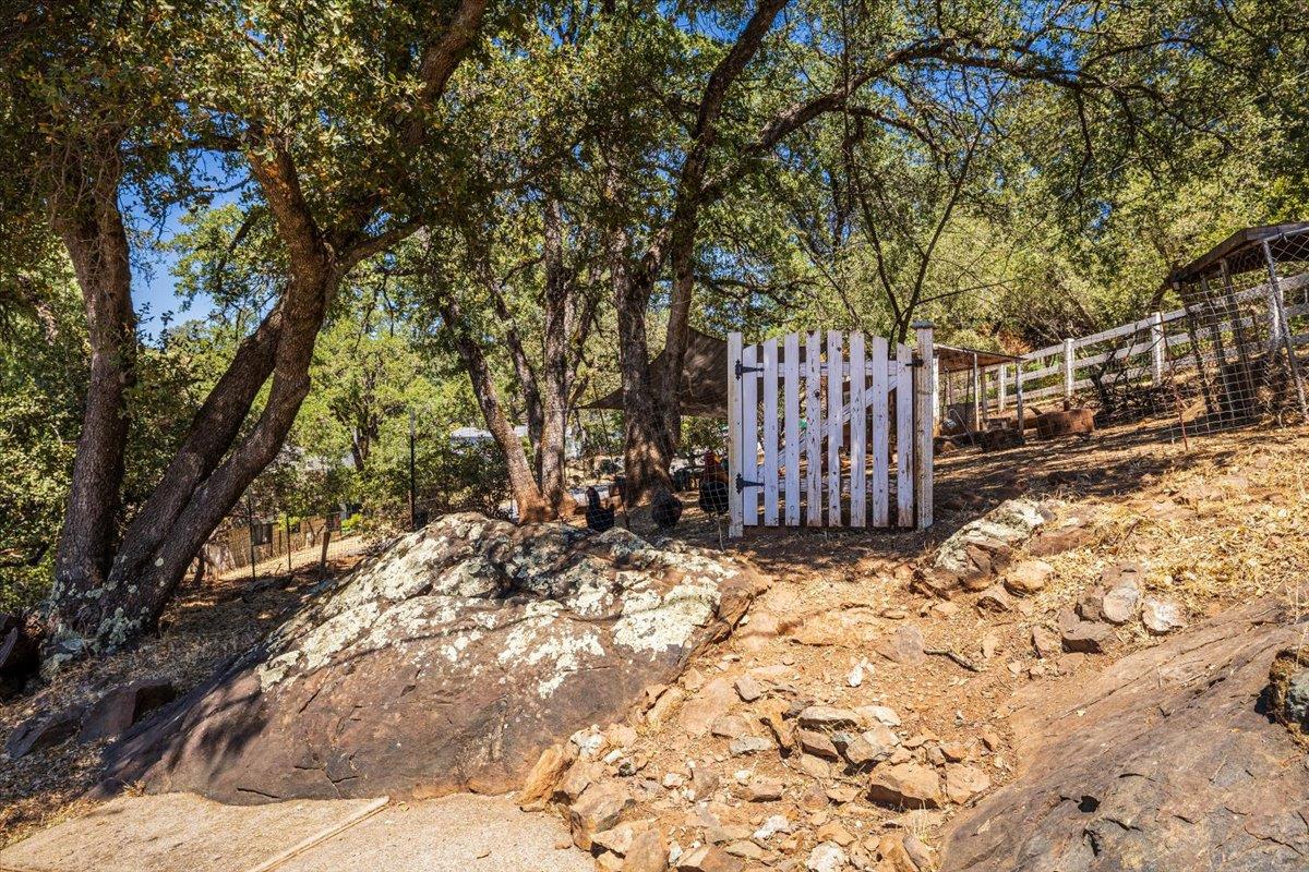 4285 Clare Drive