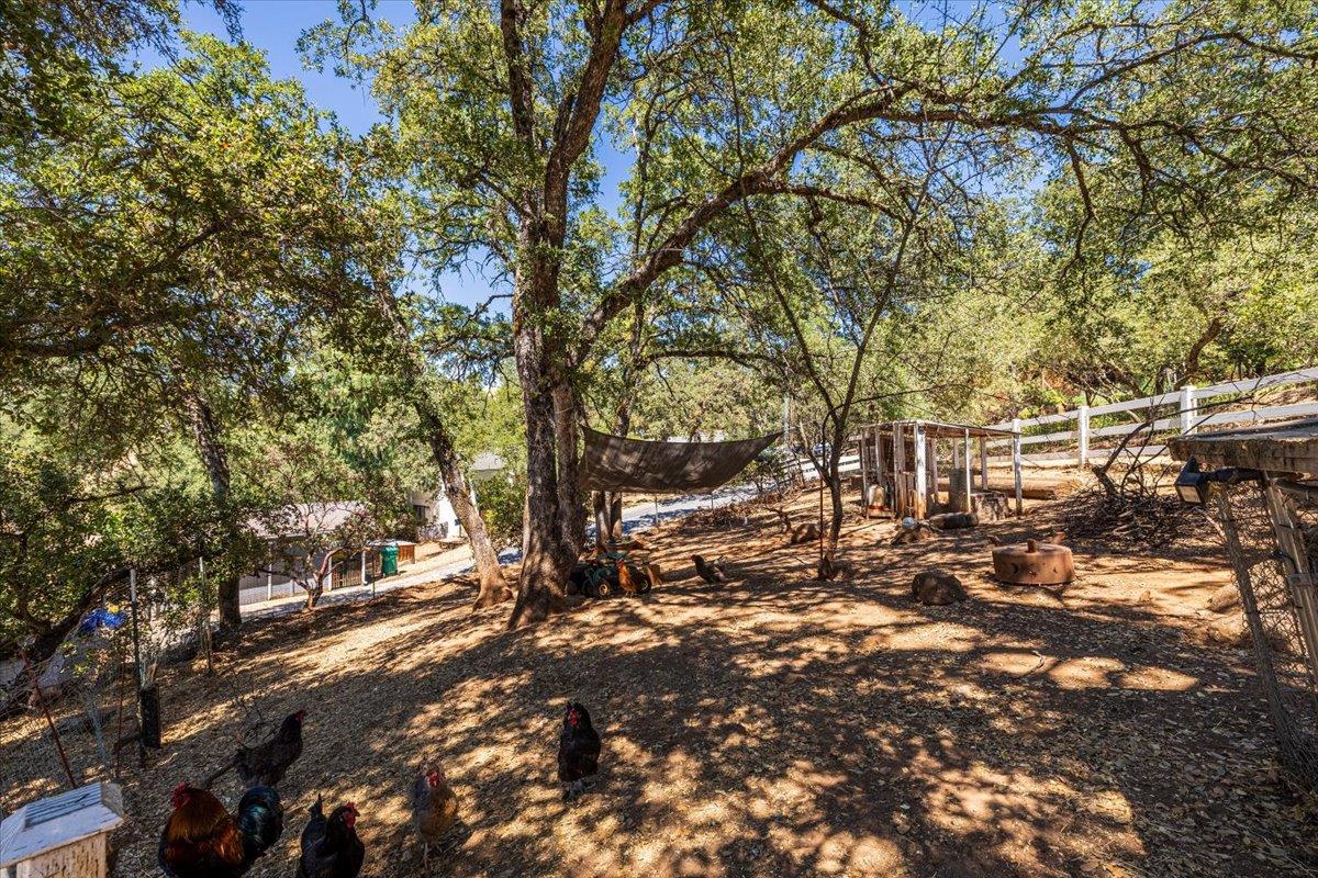 4285 Clare Drive