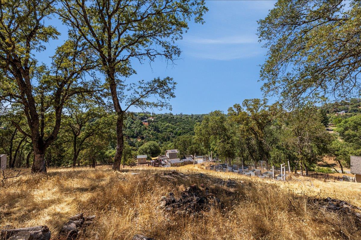 4285 Clare Drive