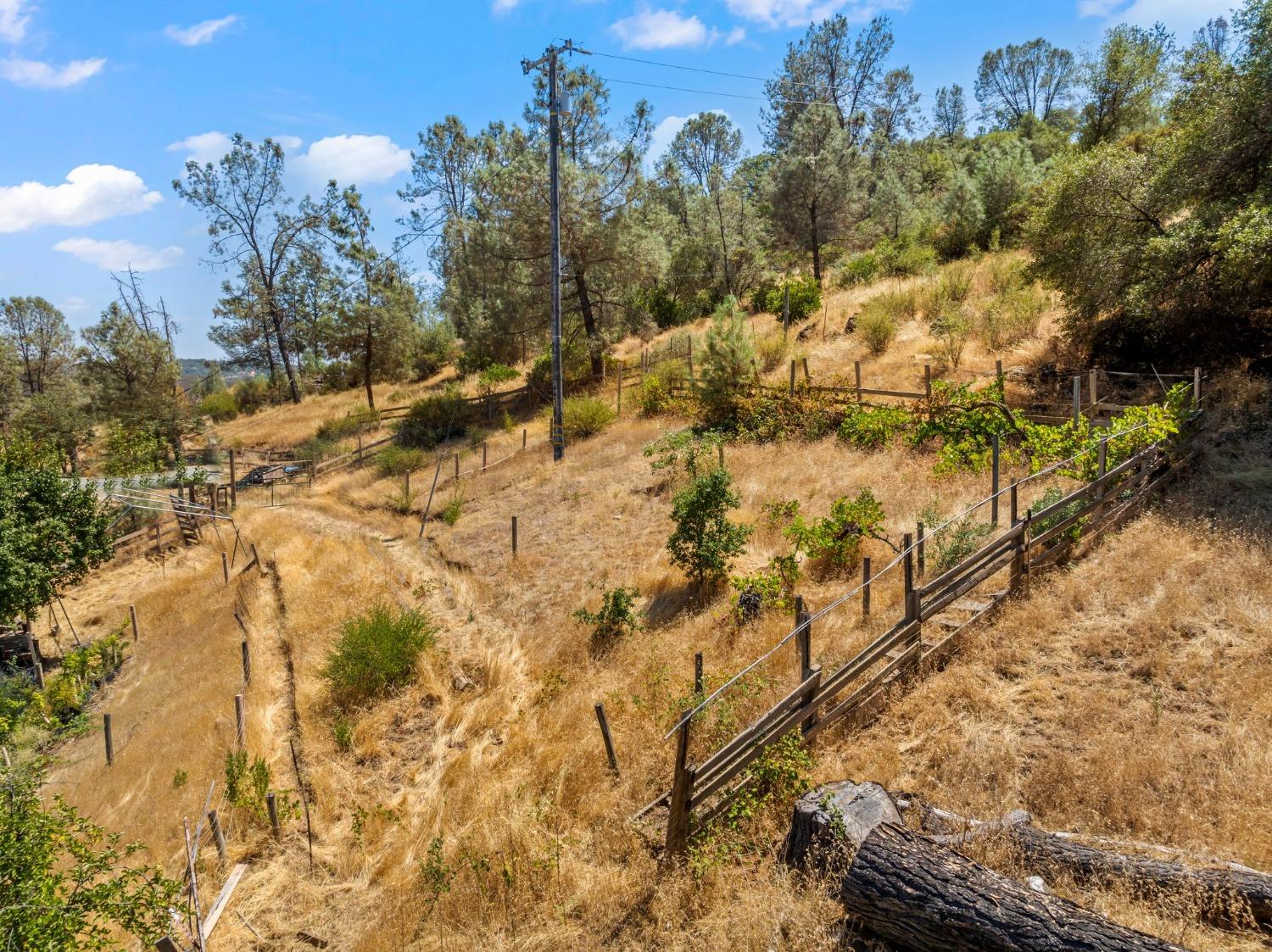 1720 Pleasant Ranch Court