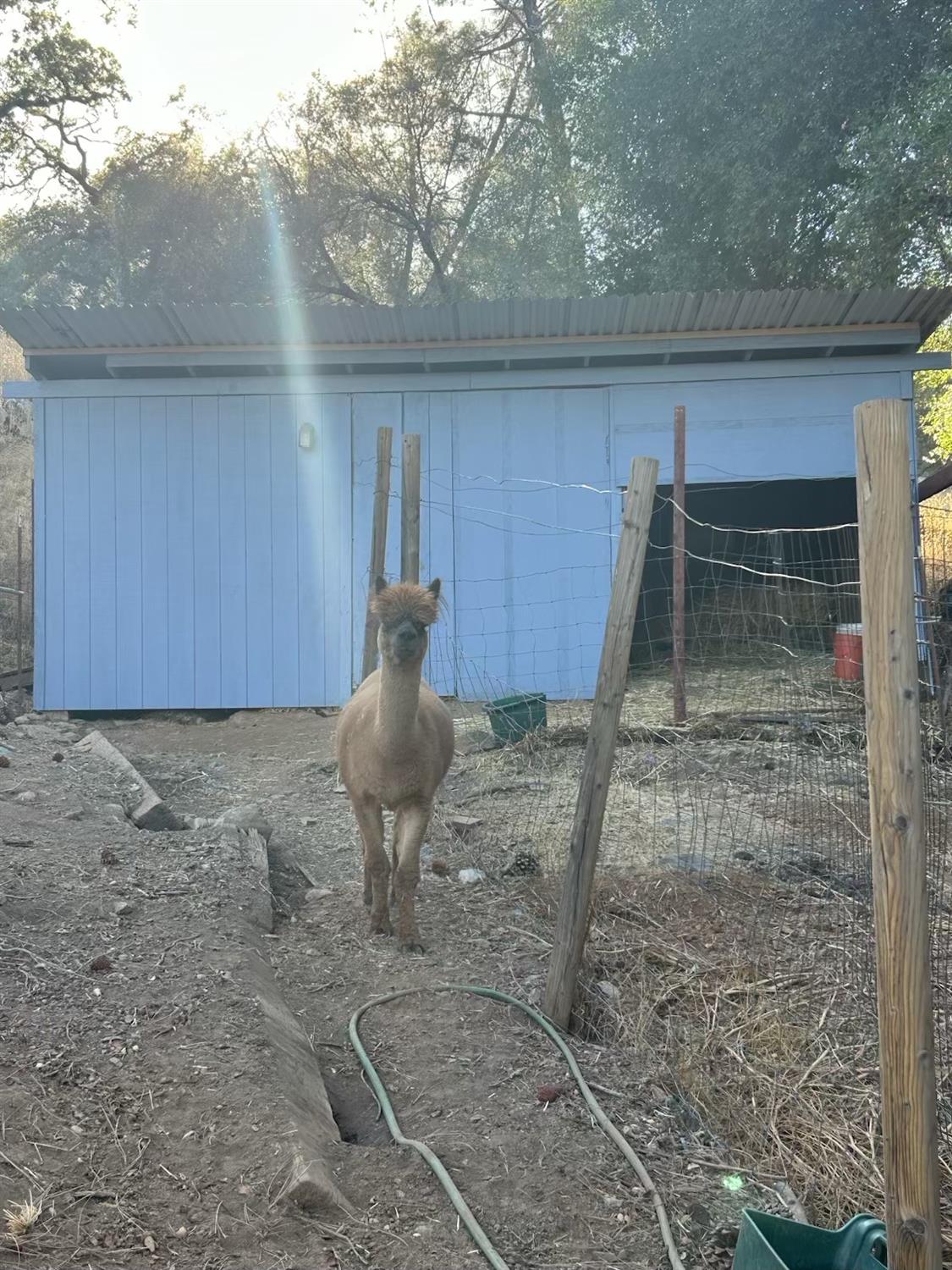 1720 Pleasant Ranch Court