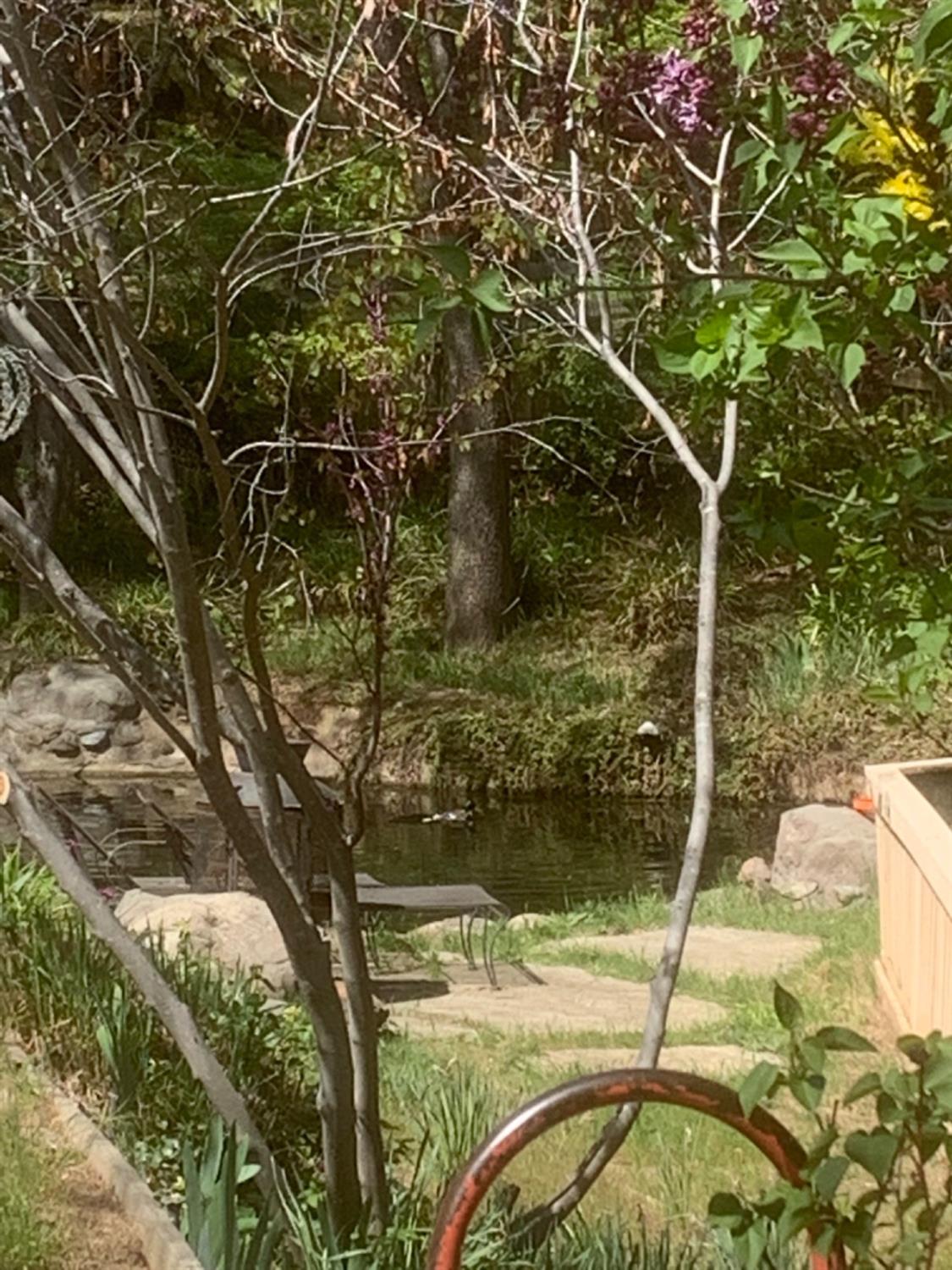 1720 Pleasant Ranch Court