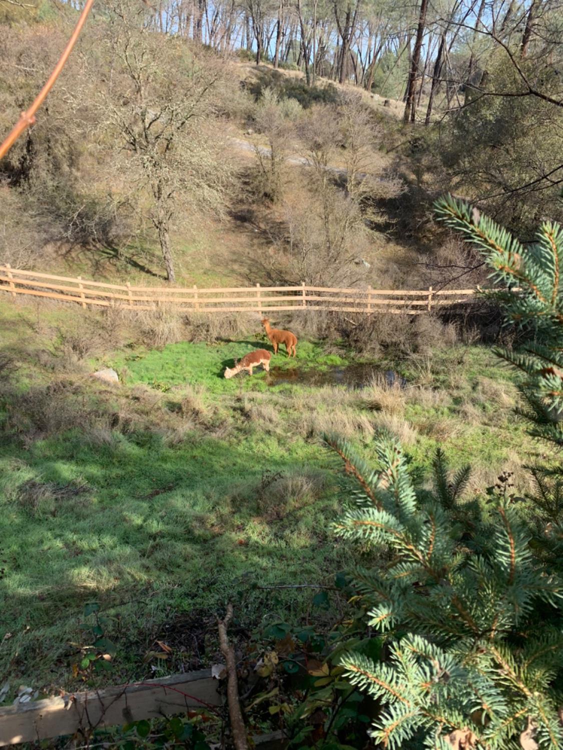 1720 Pleasant Ranch Court