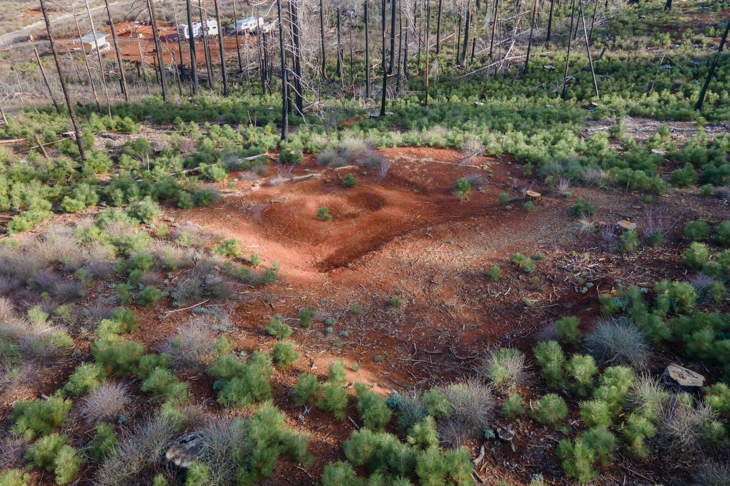 5087 Woodridge Drive