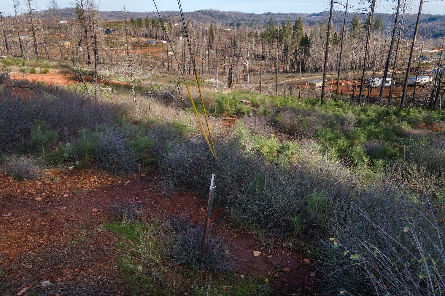 5087 Woodridge Drive