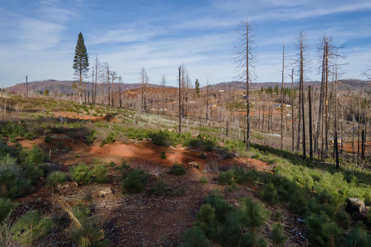 5087 Woodridge Drive