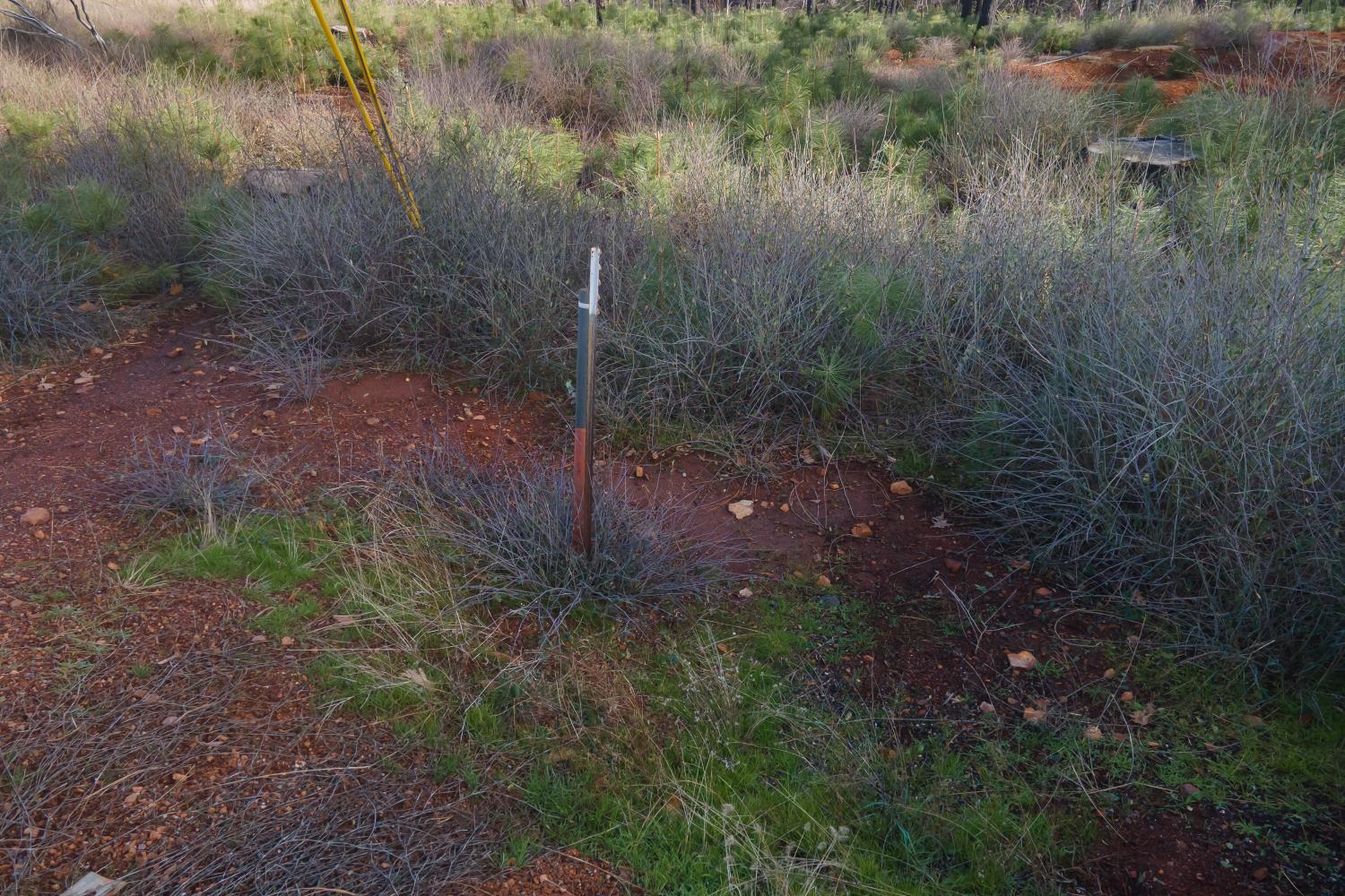 5087 Woodridge Drive