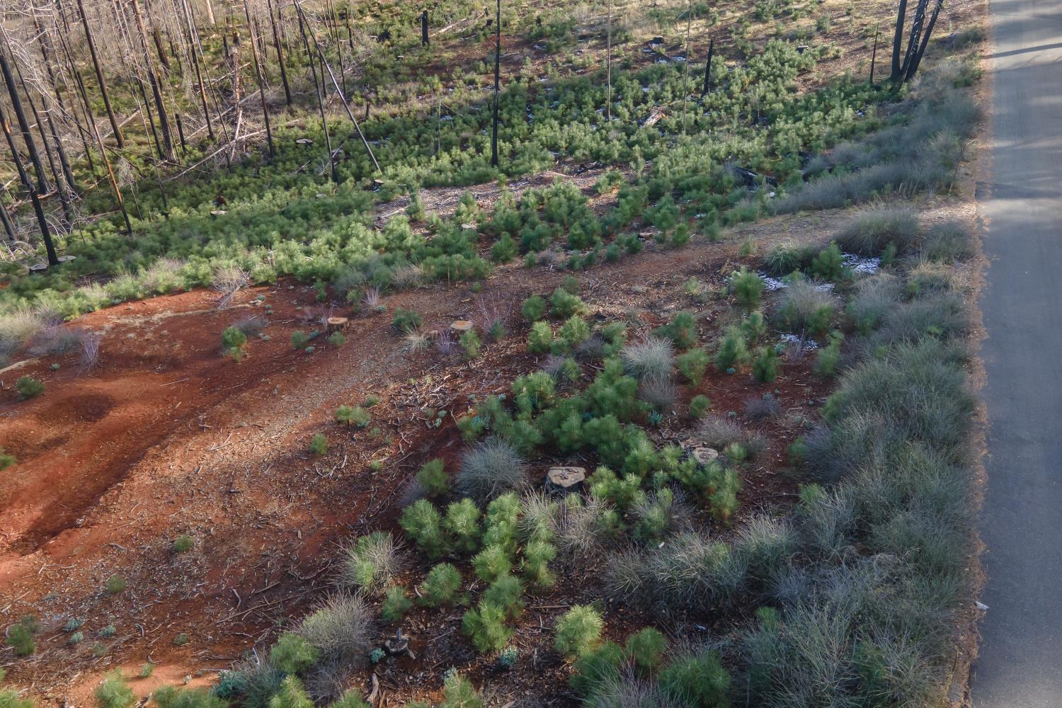 5087 Woodridge Drive