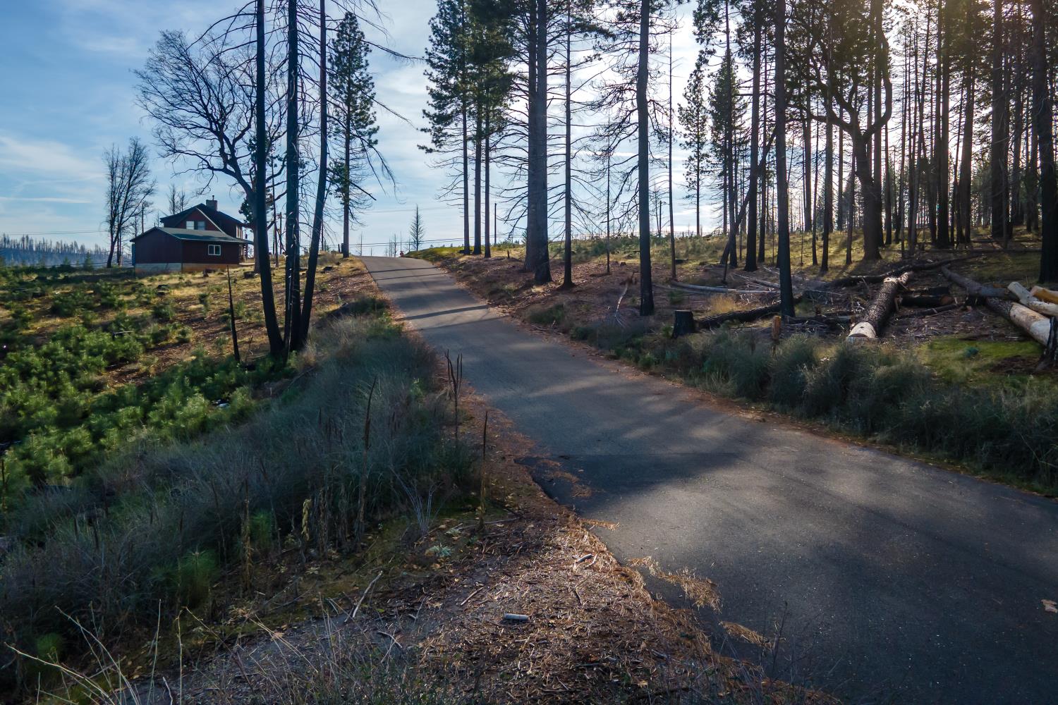 5087 Woodridge Drive