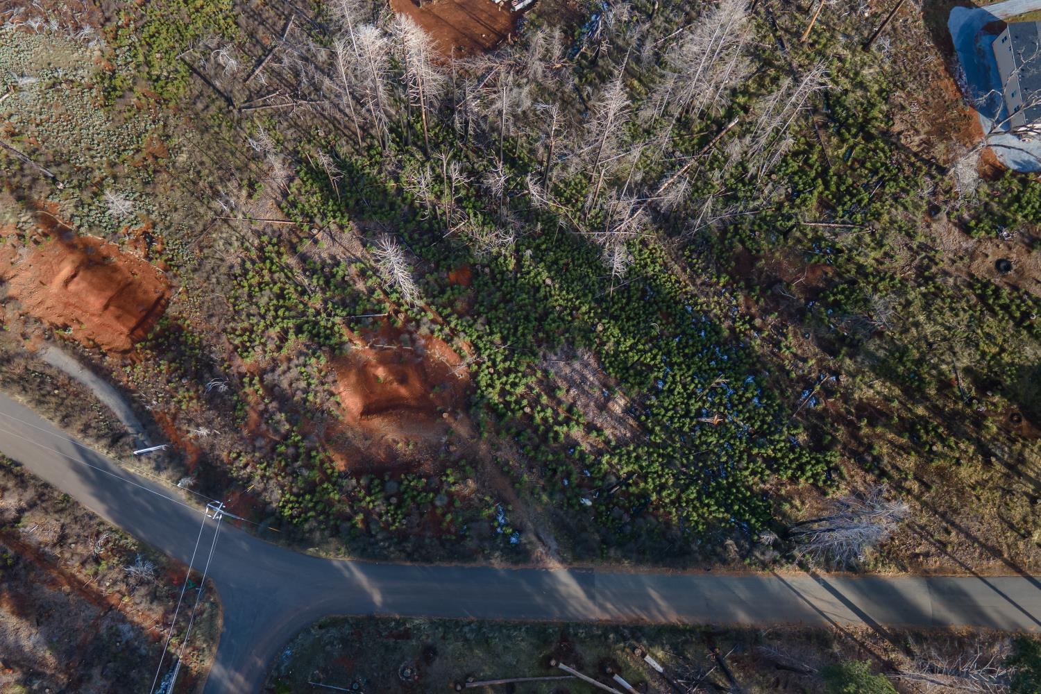 5087 Woodridge Drive