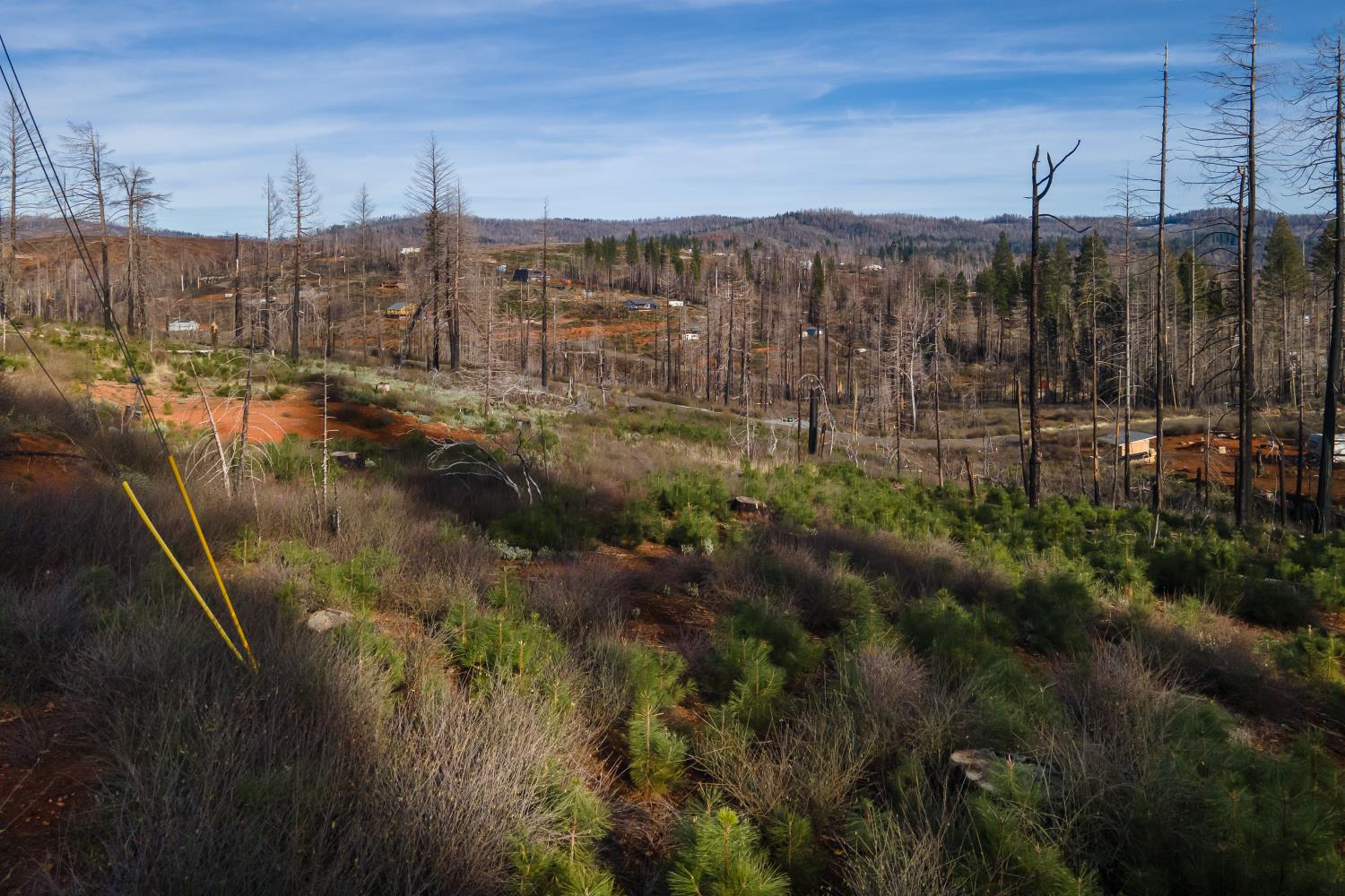 5087 Woodridge Drive