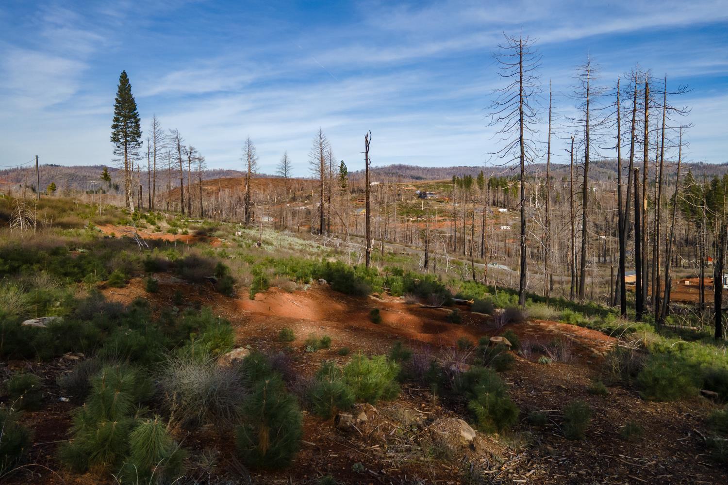 5087 Woodridge Drive