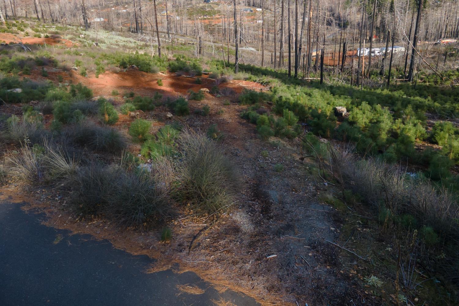 5087 Woodridge Drive