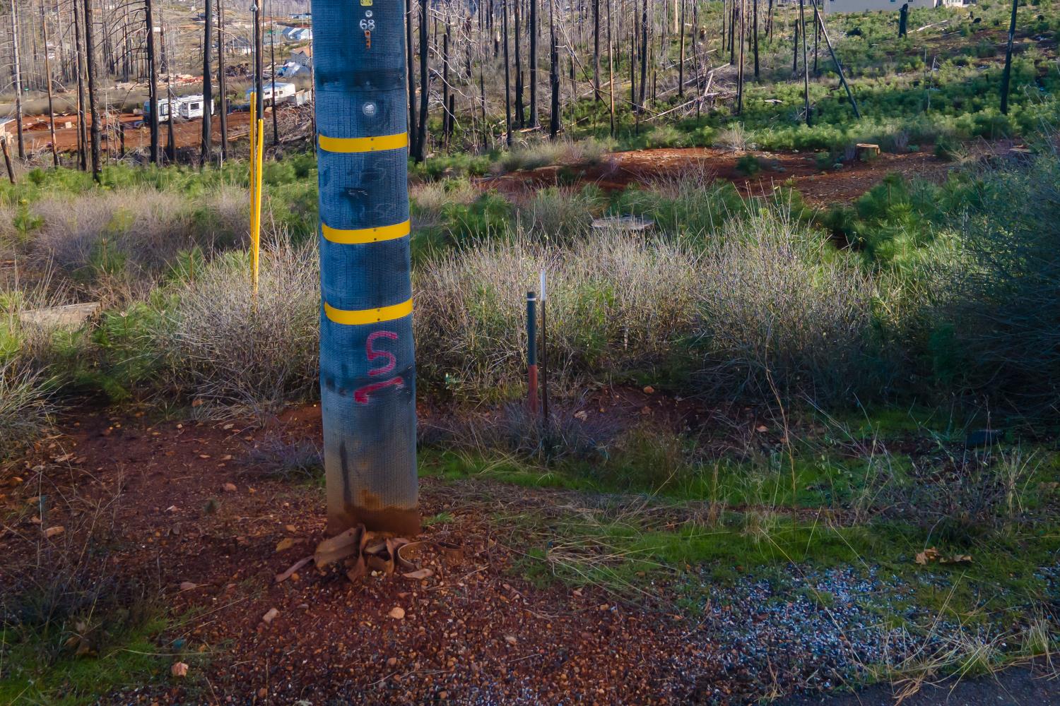 5087 Woodridge Drive