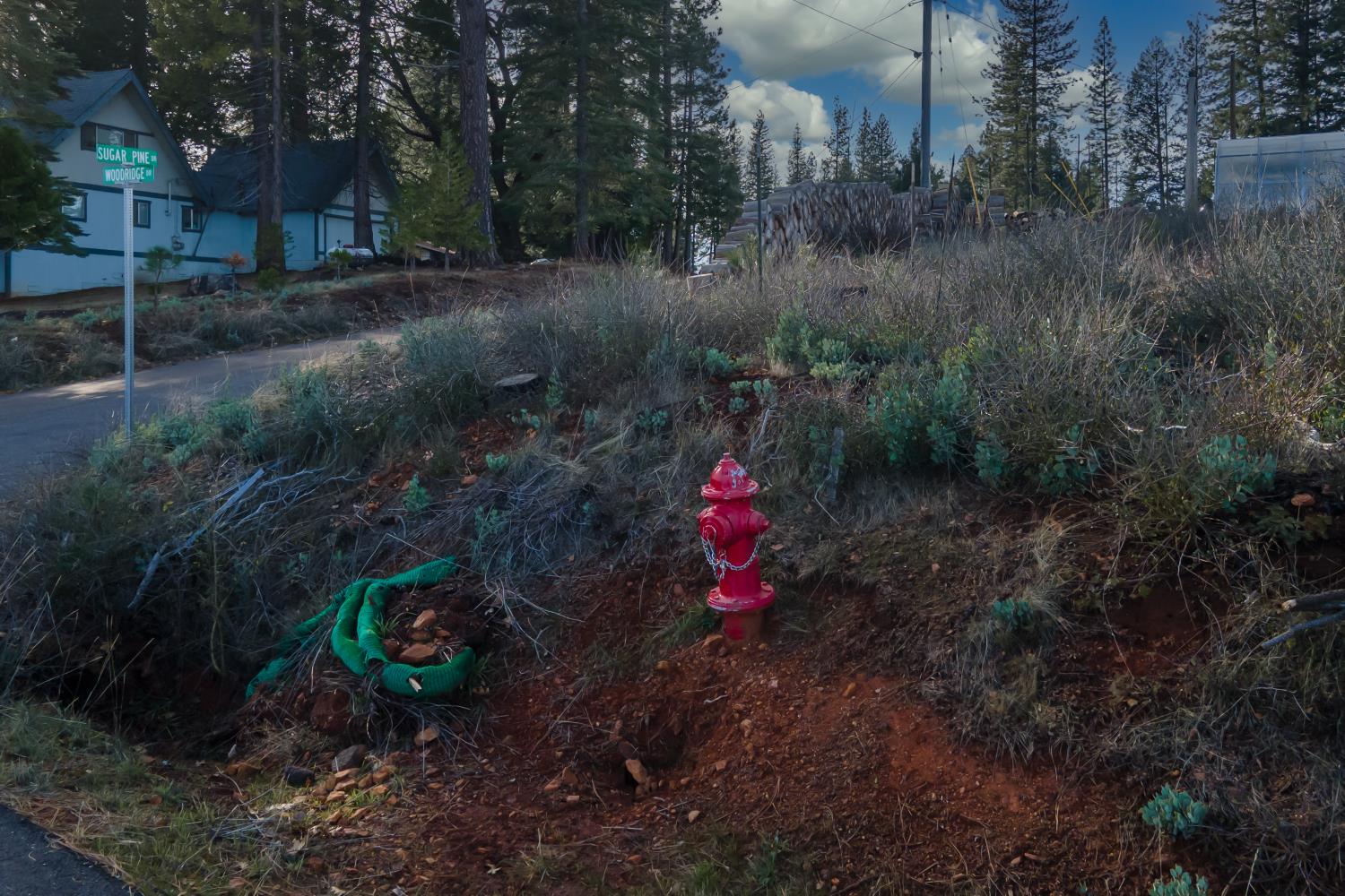 5087 Woodridge Drive