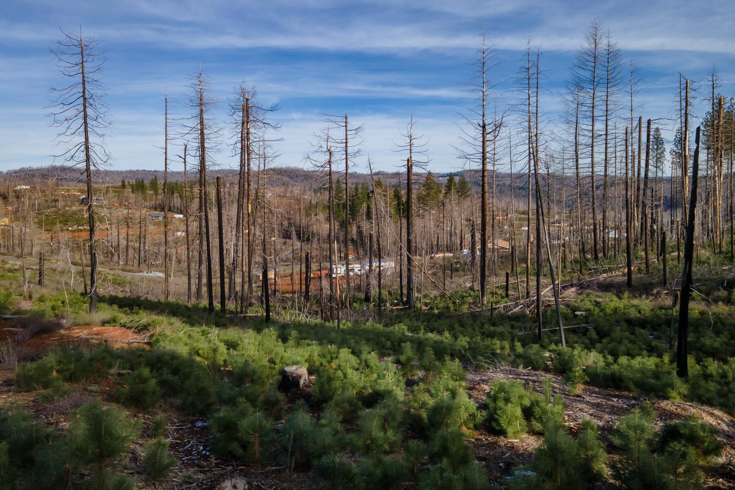 5087 Woodridge Drive