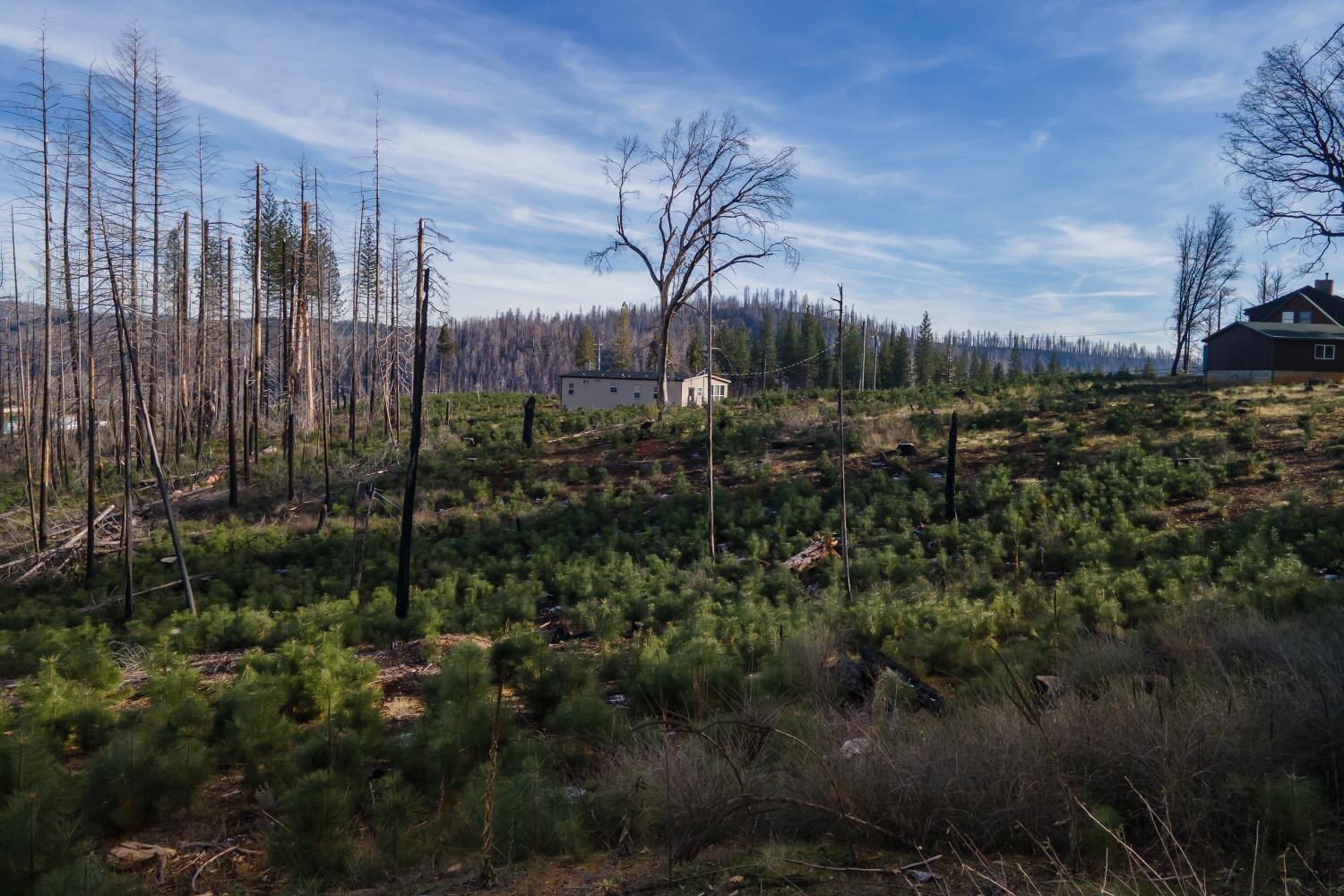 5087 Woodridge Drive