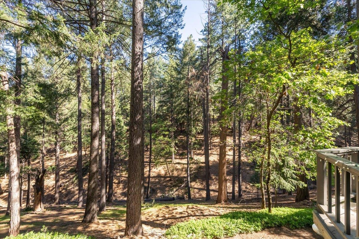 5671 Sierra Springs Drive