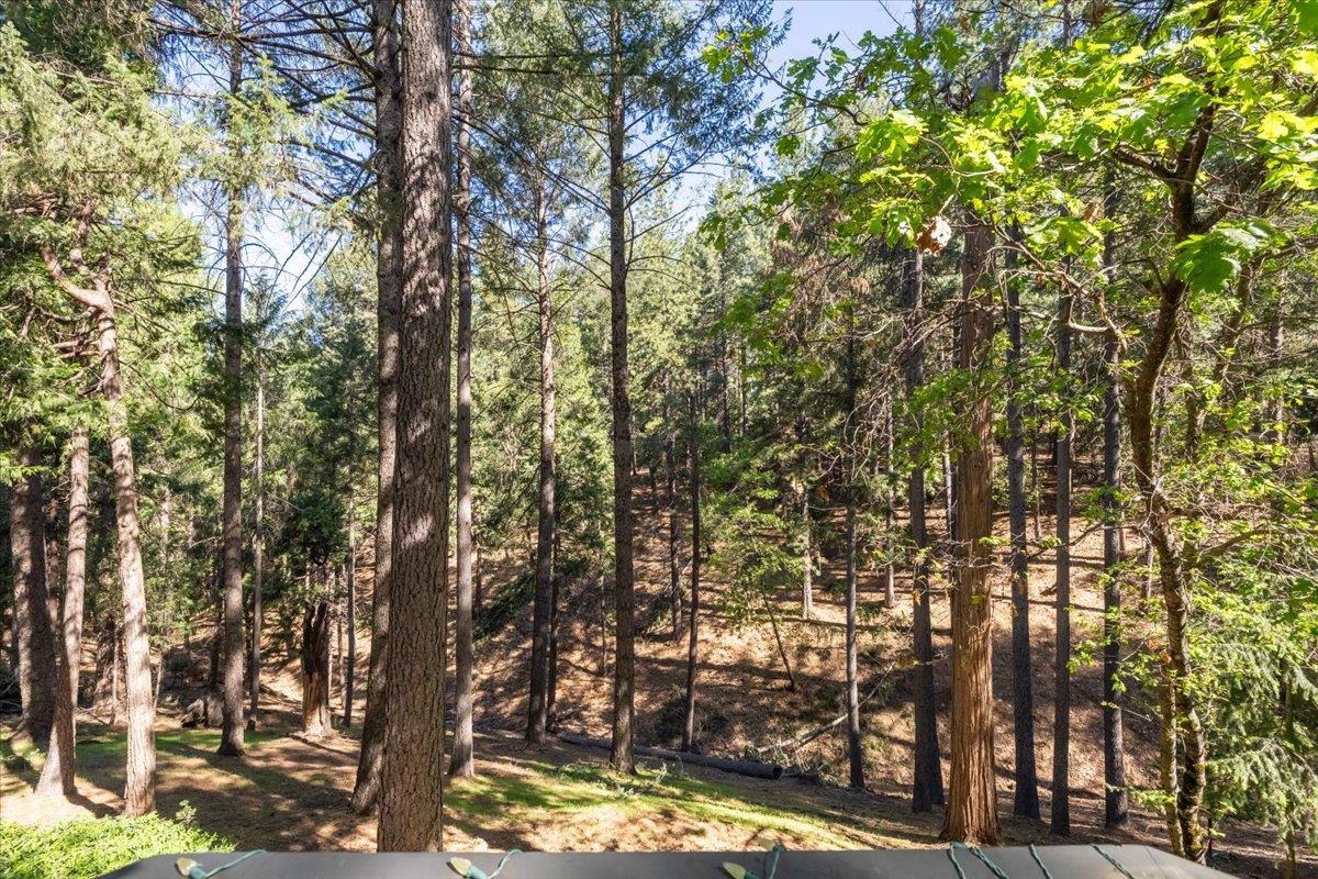 5671 Sierra Springs Drive