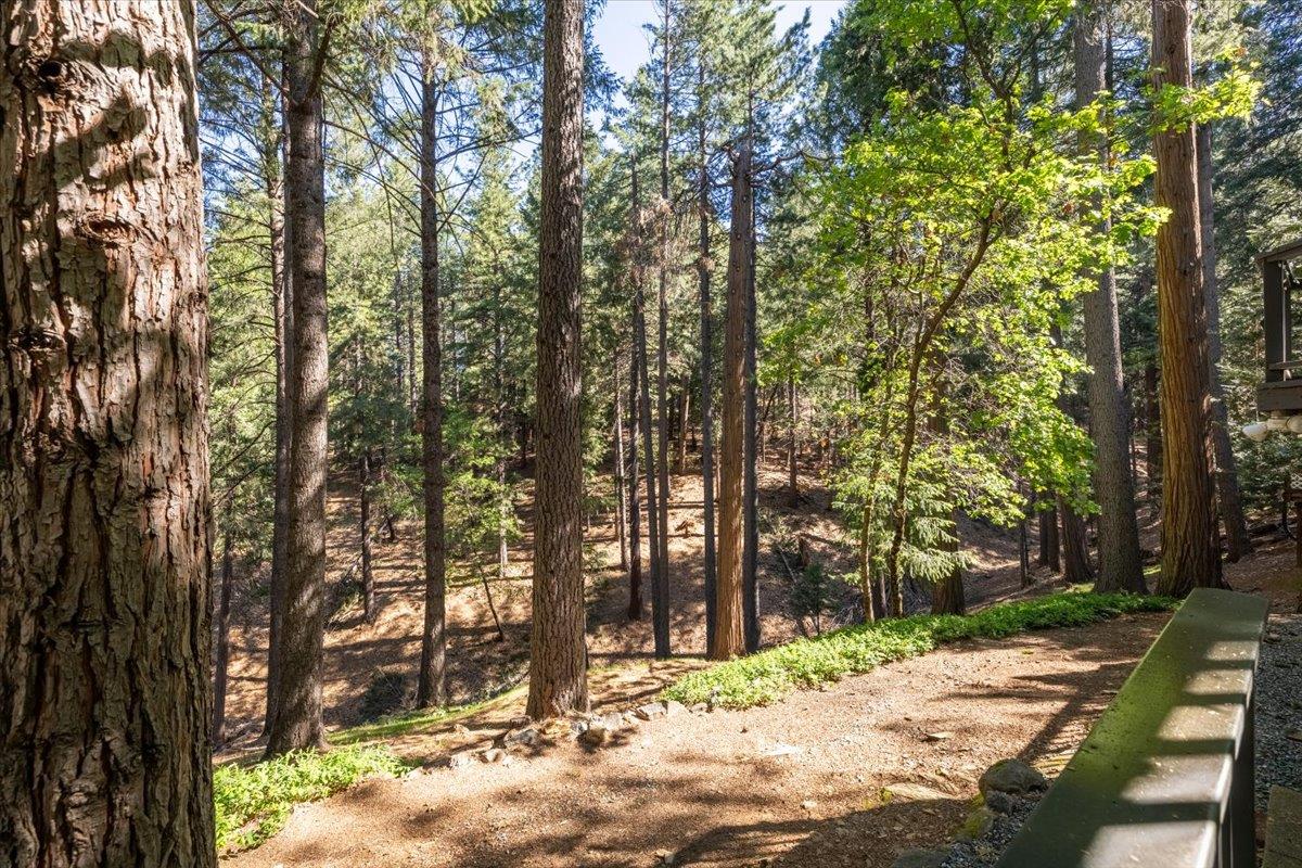 5671 Sierra Springs Drive