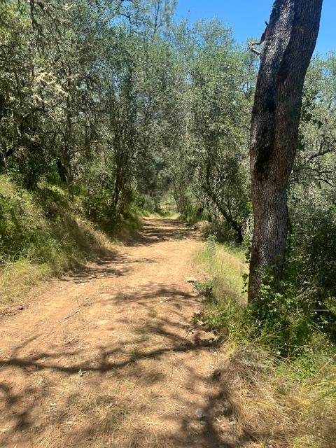0 Stony Creek Road