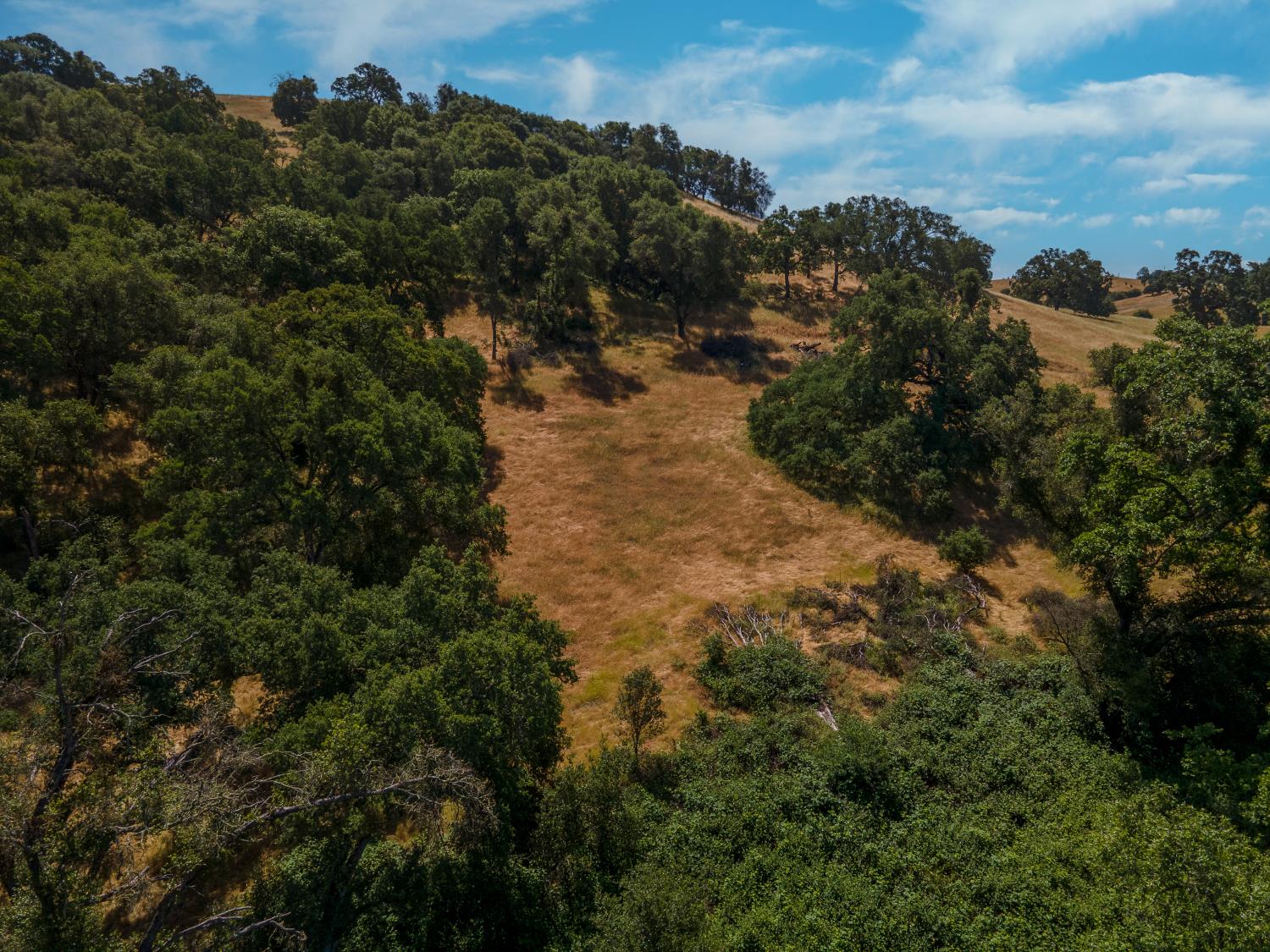0 Stony Creek Road