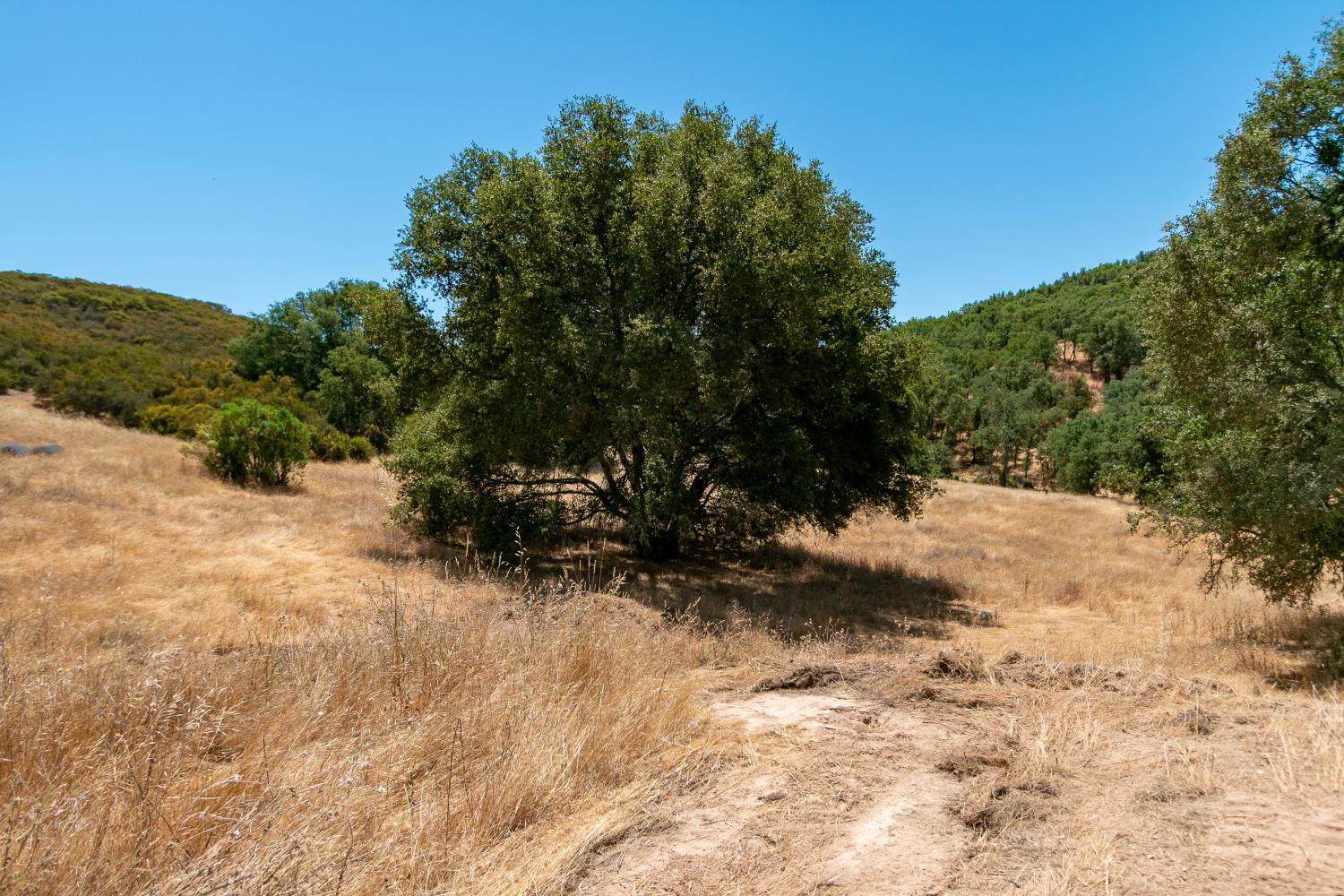 0 Stony Creek Road