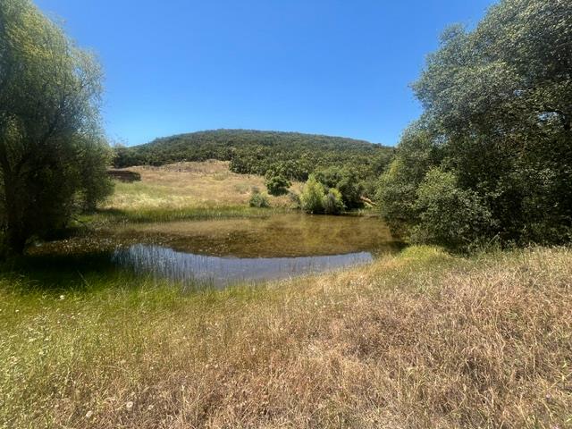 0 Stony Creek Road