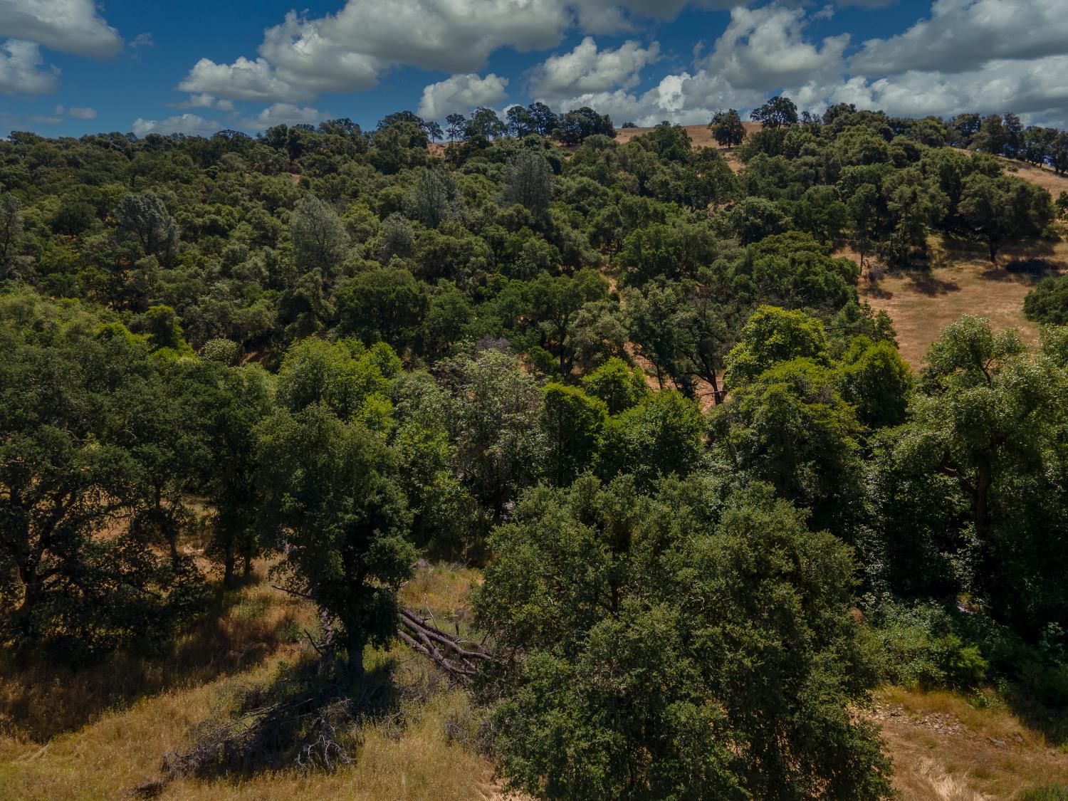 0 Stony Creek Road