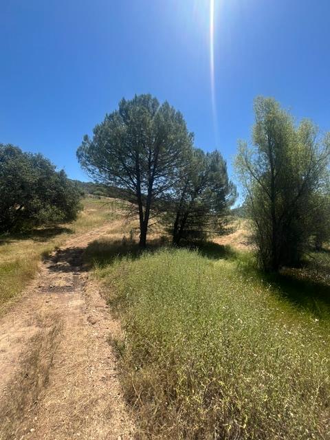 0 Stony Creek Road
