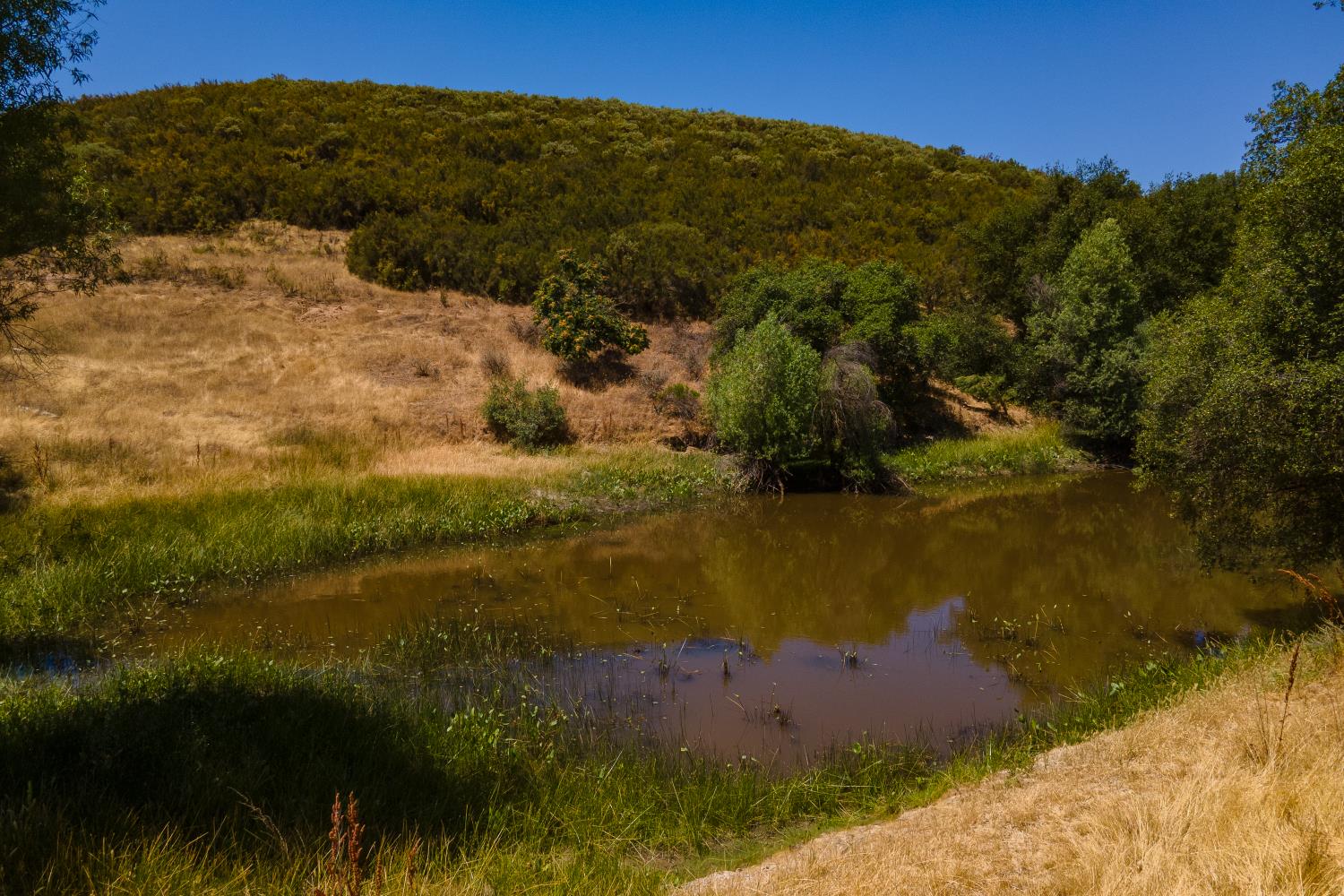 0 Stony Creek Road