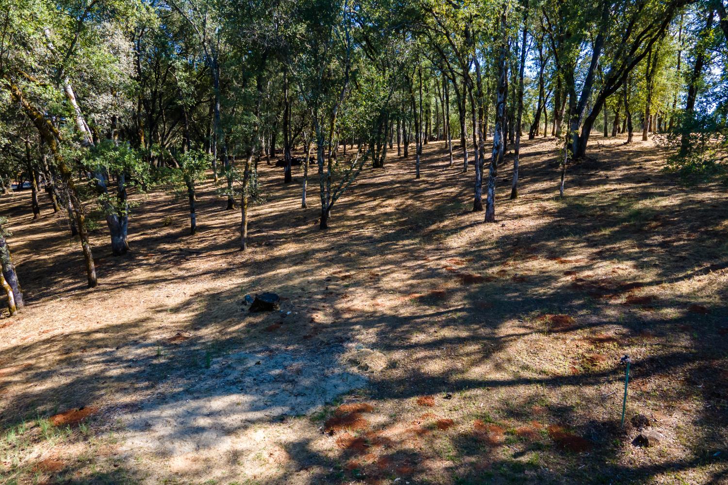 3300 Ponderosa Road