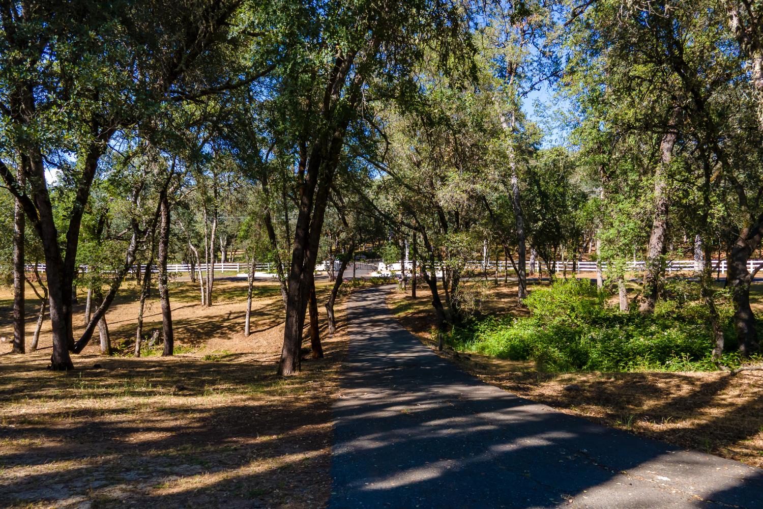 3300 Ponderosa Road