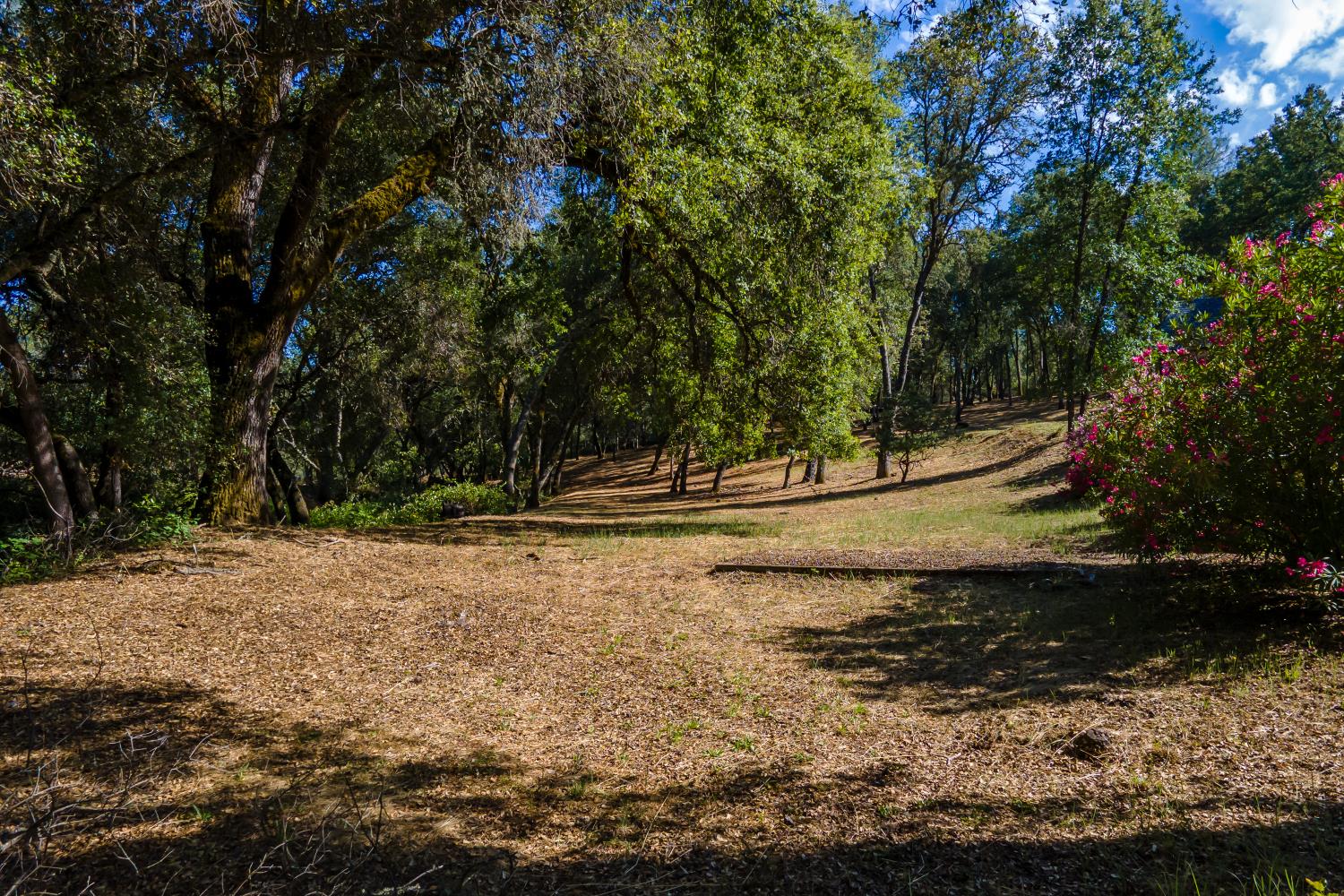 3300 Ponderosa Road