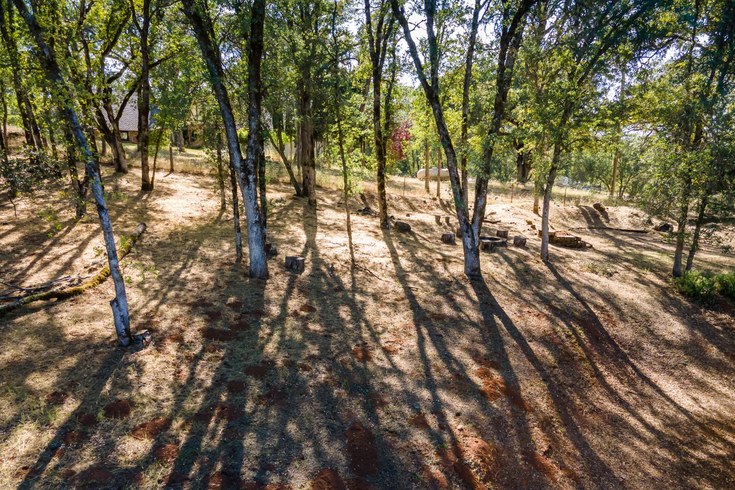 3300 Ponderosa Road