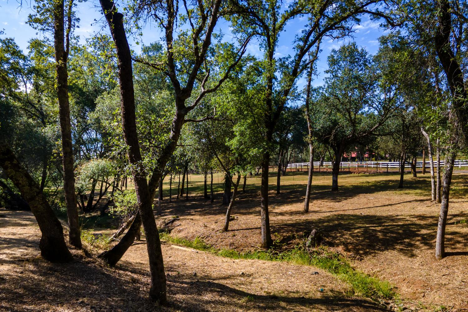 3300 Ponderosa Road