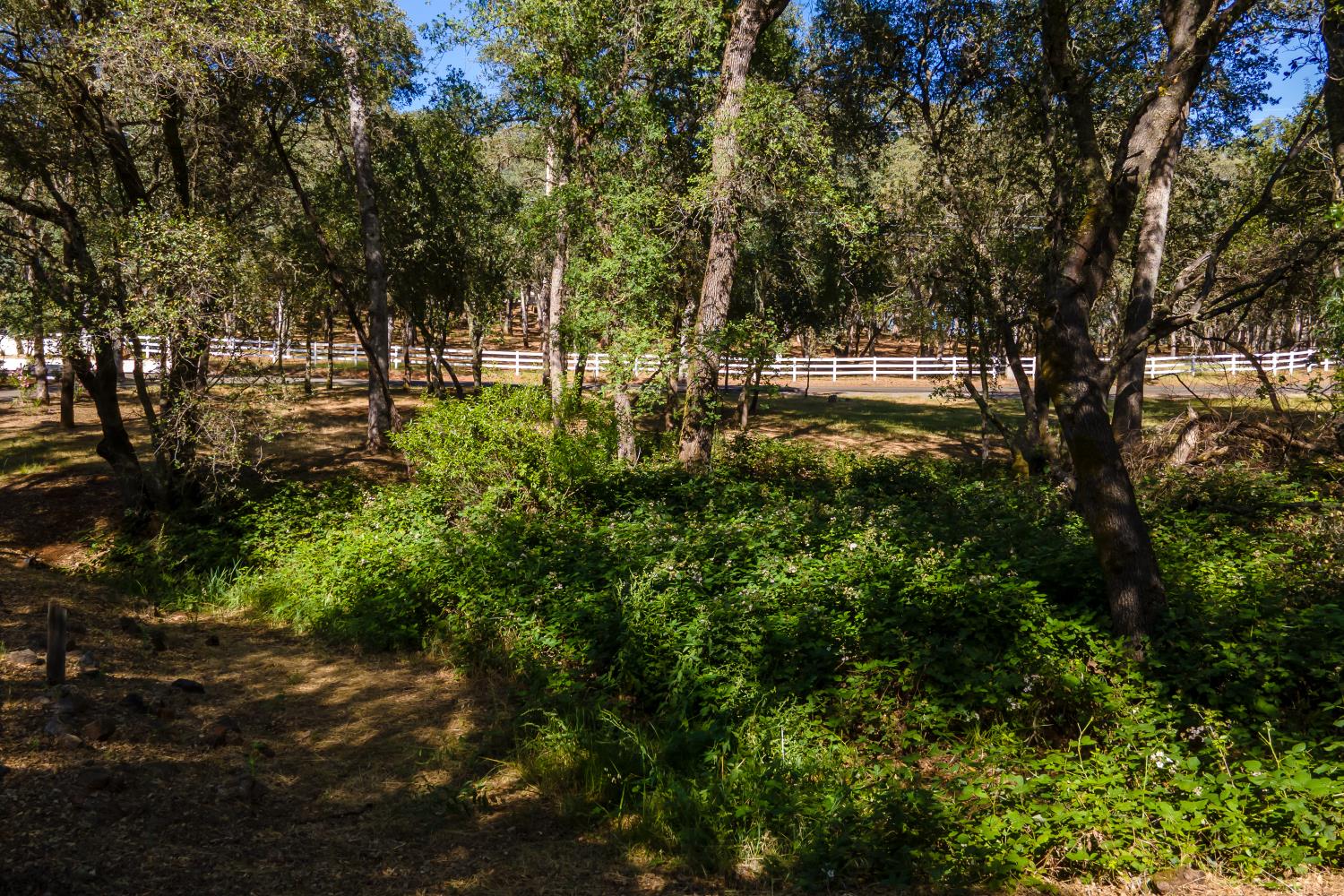 3300 Ponderosa Road
