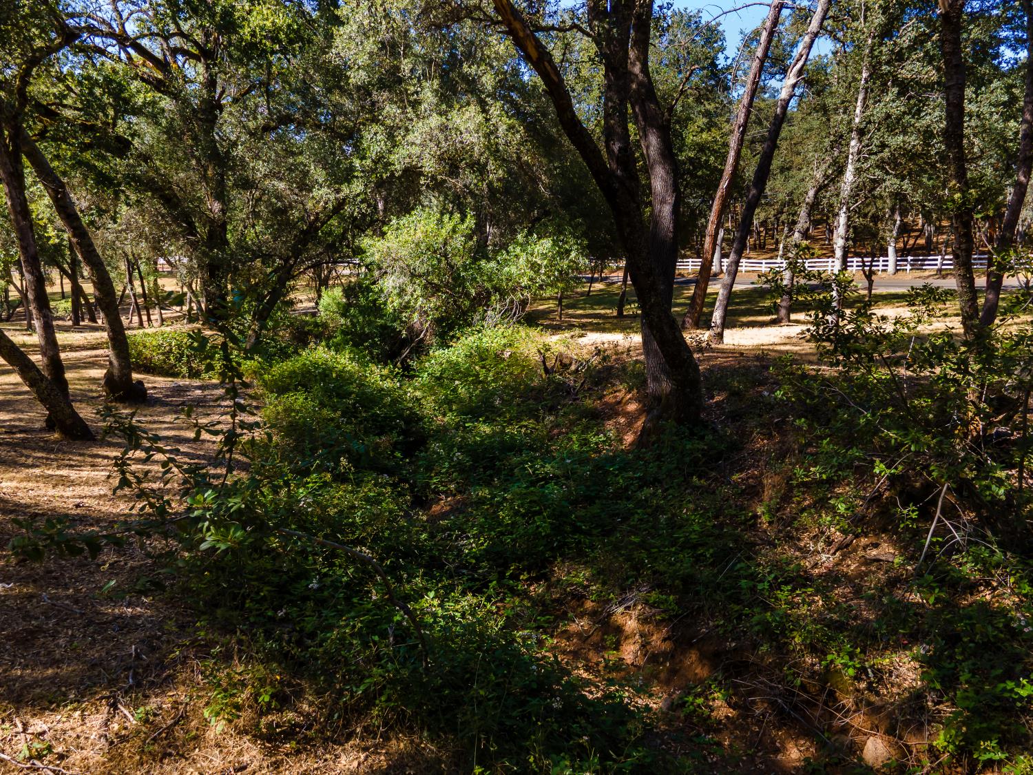 3300 Ponderosa Road