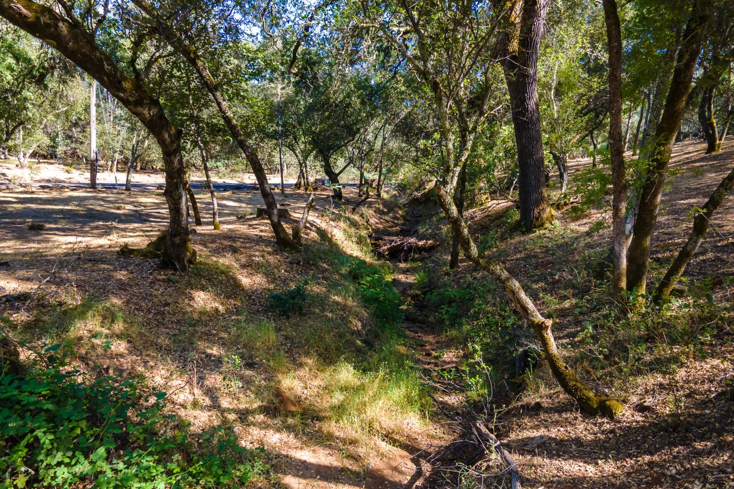 3300 Ponderosa Road