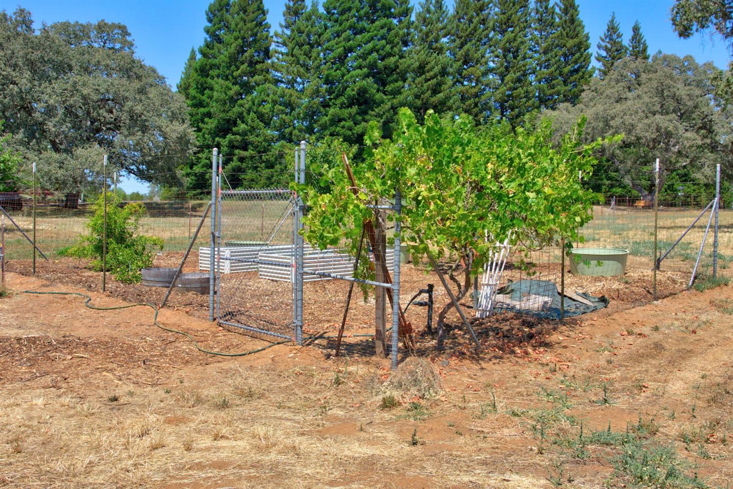 5343 Milton Ranch